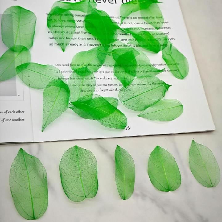 50 stuks kunstbladeren, decoratieve kunstbladeren, slinger, knutselen, droge bladeren, gedroogde bladeren, gebruikt voor doe-het-zelf handwerk, scrapbook, handwerk, kaarten maken, 