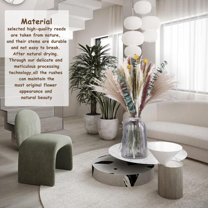 Gedroogde pampasdecoratie, natuurlijke gedroogde bloemen, 100 stuks, doe-het-zelf, gedroogde bloemen, boeket, ideaal voor boho, woonkamer, bruiloft, slaapkamer en vazen (LZGSGO-010