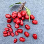 Künstliches Rotdatum, realistisches Jujube-Ornament, simuliertes getrocknetes Nussmodell für Fotografie, Bürodekorationen