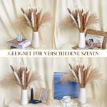 Gedroogde pampasdecoratie, gedroogde bloemen, natuurlijk, 60 stuks, doe-het-zelf, gedroogde bloemen, boeket, ideaal voor boho, woonkamer, bruiloft, slaapkamer en vazen (LZGSGO-0104