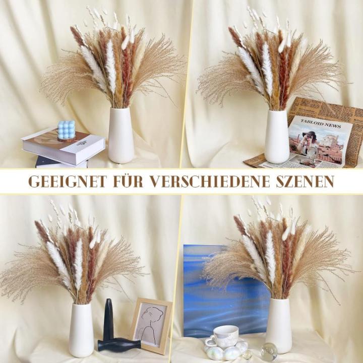 Gedroogde pampasdecoratie, gedroogde bloemen, natuurlijk, 60 stuks, doe-het-zelf, gedroogde bloemen, boeket, ideaal voor boho, woonkamer, bruiloft, slaapkamer en vazen (LZGSGO-0104