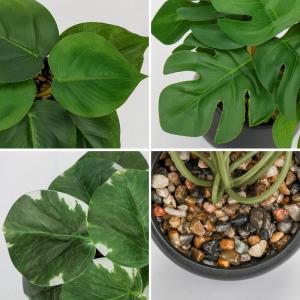 Set van 3 als echte kunstkamerplanten, decoratieve planten voor woonkamer, badkamer, hoogte ca. 15 cm, in zwarte keramische pot