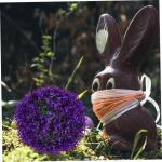 Eukalyptus Grasball Künstliche Grasbälle Pflanze Topiary Ball Graspflanzenbälle Künstliche Pflanze Rund Für Den Außenbereich Künstliche Blumen Für Den Außenbereich