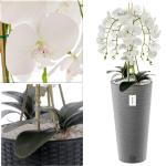Künstliche Orchidee Kaskaden Blumenstrauß Weiß im Topf Beton H 110 cm Heimbüro Dekoration, Kunstpflanze Orchidee, Kunstblume, Künstliche Orchidee im Topf