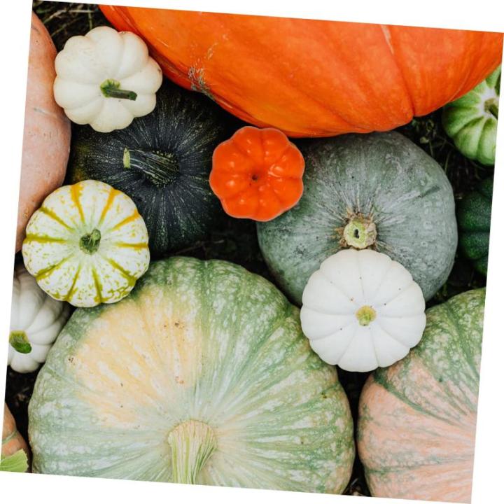 200 STK Kürbis Dekoration Gefälschte Schaumkürbisse Halloween Orangefarbenes Dekor Herbstdekorationen Als Partygeschenk Thanksgiving-kürbis-Dekoration Kürbis-Verzierungen Pu-k