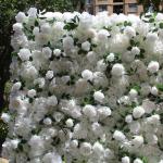 Simulierter Stoffhintergrund, Blumenwand, Simulierte Weiße Rosen, Grüne Pflanzen, Künstlicher Blumenwandhintergrund, Seidige 3D-Rosen, Dekoration Für Drinnen Und Draußen, Für