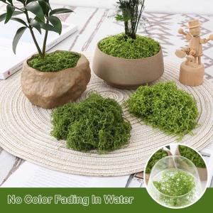 Mos in 2 verschillende kleuren, 250 g voor mosfoto's, 200 g groen en 50 g donkergroen, mosafbeelding, kunstmos, kunstmos, mos om te knutselen, mosdecoratie, kunstmos, mos, mos, con