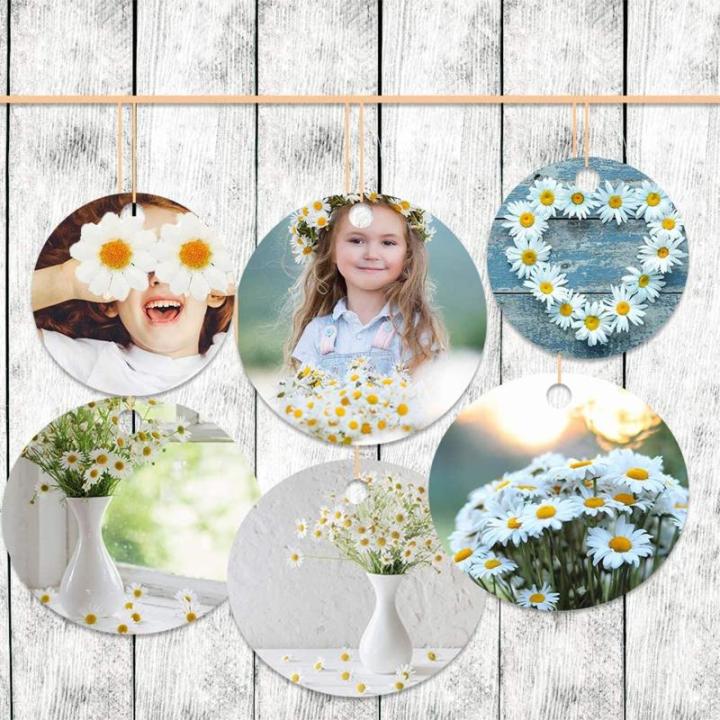 100 stuks , lentebloemen, decoratie, 4,5 cm, , madeliefjes, bloemkoppen, decoratie, bloemen, knutselen voor het decoreren van tuin, bruiloftsfeest, knutselen (wit)