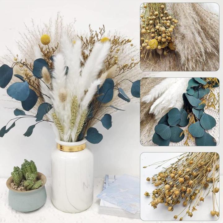 Gedroogde pampasdecoratie, gedroogde bloemen, natuurlijk, doe-het-zelf, droogbloemen, boeket, ideaal voor boho, woonkamer, bruiloft, slaapkamer en vazen (LZGSGO-0106)