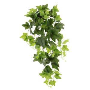 Klimophanger, klimop, slinger, ongelijke hangende struik, hangplant, groene plant, hangplant, rankend, plantenhanger, kamerplant, klimop, klimop, ca. 80 x 28 x 26 cm
