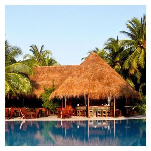 Künstlicher Palmdach Paneele, Künstliche Palmgras Rolle Kunststoff PE Strohdach, Reetdach, Für Bar Hütte Garten Zaun Strandschir Mstrandschirm Holzhaus Party Terrasse Pavillons
