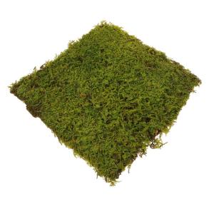 Kunstrasen Sand Tischgrasmatte Gefälschter Rasen Schmücken Aquarienrasen Sandtischmodell Dekoration Dekorativer Rasen Gefälschte Grasunterlage Sandtisch-rasenmatte Perlenbaumwol