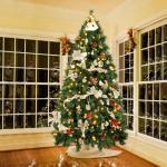 Nordmann Kunstkerstboom 2,1 m met verlichting, met warmwitte en RGB-ledlichtjes, 9 modi en afstandsbediening, pvc-kerstboom