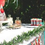 Set Aus Zwei Eukalyptus Girlanden 178 cm, Kunstpflanzen Hängend, Realistisch Und Schön, Langlebig, Eukalyptus Deko Ist Geeignet für Zuhause, Hochzeit, Festival, Party-Dekoration