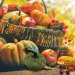 Samt-Set – Künstliche Kürbisse Mit Echten Stielen In Verschiedenen Größen – Für Halloween, Thanksgiving, Herbstdekoration, Erntefest Und Präsentation, Luxuriöse, Realist