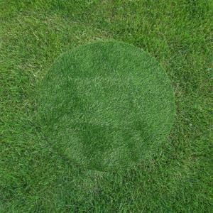 Schachtdeckel Dekoration Rasen realistischer Grasteppich Tischsets aus Gras Dekorative Rasenmatte Tischdekoration aus Kunstgras Teppiche Platzdeckchen Kunstrasenmatte Plastik Green