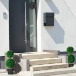 , set van 2 buxusboom, 60 cm kunstplant met dubbele bal, uv-bestendige kamerplant, kunstboom, plantendecoratie voor binnen en buiten, groen