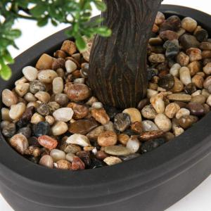 Kunstbonsai Natuurgetrouwe kunstplant, kunstboom, bonsai, ceder, grenen, podocarpus, plastic plant, kunstplant met keramische pot in zwart, voor badkamerdecoratie, desktop, kantoor