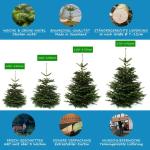 Echte Nordmann-kerstboom uit het Sauerland, 170-190cm, groen