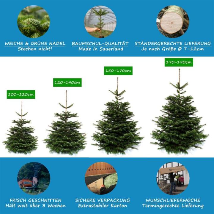 Echte Nordmann-kerstboom uit het Sauerland, 170-190cm, groen
