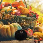 Minis Samt-Kürbisse – Künstliche Künstliche Dekorative Bunte Schaumstoff-Kürbisse | Handgemachte Halloween-Ernte-Gemüse-künstliche Simulations-Kürbisse, Bauernhaus-rustika