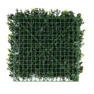 Plantenwand, , wandplanten, 50 x 50 cm, decoratie voor muur/balkon/tuin, boxwood