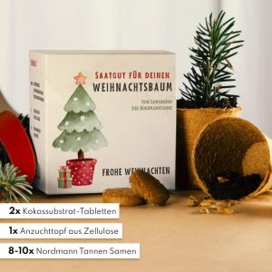 Nordmann Kerstboomkweekset als vulling voor adventskalender, mini-cadeau als idee voor de adventskalender voor vrouwen en mannen, Nordmann-dennenboom om zelf te planten
