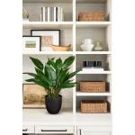 Kunstplant als echte kunstplant, decoratieve plant Calathea, struikachtig met 22 bladeren in kunststof pot, kamerplant, hoogte 43 cm, groen