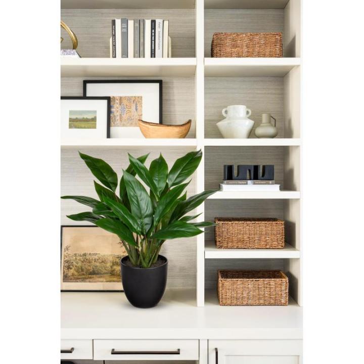 Kunstplant als echte kunstplant, decoratieve plant Calathea, struikachtig met 22 bladeren in kunststof pot, kamerplant, hoogte 43 cm, groen
