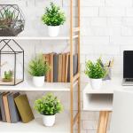 Künstliche Pflanzen mit Topf Kleine Topfpflanze 4 Stück Kunstpflanze Grünpflanzen Dekor Plastik Pflanzen Indoor Dekor für Büro Haus Balkon Wohnzimmer Badezimmer (4, Weißer To