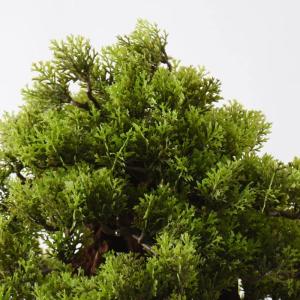 Künstlicher Bonsai-Baum Bonsai-Baum mit hohem Terrakotta-Blumentopf, dekorativer künstlicher Bonsai-Kiefernbaum, Simulation einer Topfpflanze, dekorativer Bonsai-Schreibtisch-Dis
