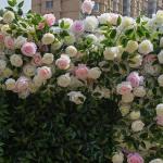 Simulation Rosa Stoff Hintergrund Blumenwand, Stoff Hintergrund Blumenwand Simulation Blumenwand Grüne Pflanzwand Innen- Und Außendekoration Simulation Pflanzenrasen(1x2m/3.2x6.5