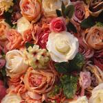 Herbstfarbe Simulation Rosenwand Hintergrund Wand, Foto Foto Hintergrund Outdoor Hochzeit Dekoration Stoff Blumenwand Für Foto Hintergrund Home Party Hochzeit Hintergrund(3 * 3m/9