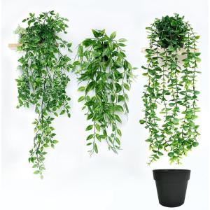 3 stuks hangende , 80 cm, met potten, eucalyptus, bladeren, hangplant met pot, wijnstok, binnen en buiten, wandplankdecoratie
