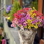 10 Stuks voor Buiten, 5 Kleuren, UV-Bestendige , Weerbestendig, Bloemenarrangement voor Tuin, Balkon, Raam, Huis, Feestdecoratie