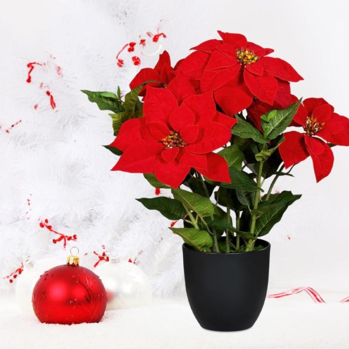 Poinsettia Kunstkerstster in zwarte pot, 55 cm, kunstbloem poinsettia in natuurgetrouwe replica, kerstbloem, decoratieve plant, zijdebloem, kunstplant, winterbloem met fluweelachti