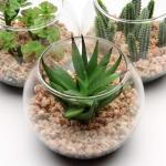 Kunstplant kunstmatige vetplant kamerplant decoratieve woonkamer, badkamer decoratieve plant vetplant, hoogte 8 cm, in glazen pot, set van 3