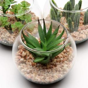 Kunstplant kunstmatige vetplant kamerplant decoratieve woonkamer, badkamer decoratieve plant vetplant, hoogte 8 cm, in glazen pot, set van 3