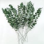 20 stuks kunstmatige eucalyptustakken, 38 cm nep eucalyptus planten, bloemendecoratie, , droogbloemen, decoratie voor bruiloft, feest, thuis, tuin, tafel, bloemen, vazen - goud