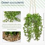 Kunstmatige planten Ficus Pumila Hangplant Kamer Wand Decoratie Aesthetische Kunstplant, Hoogte 35,5 cm, in Hanglamp