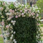 Simulation Rosa Stoff Hintergrund Blumenwand, Stoff Hintergrund Blumenwand Simulation Blumenwand Grüne Pflanzwand Innen- Und Außendekoration Simulation Pflanzenrasen(2x2m/6.5x6.5