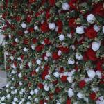 Roter Und Weißer Farbverlauf Stoffhintergrund 5D Hochzeitsblumenwand, Künstliche Rosenwand Hintergrundwand Für Fotohintergrund Home Party Hochzeitskulisse(1.2 * 2.4m/3.9 * 7.8ft