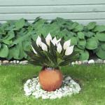 Kunstblüten Flower Kunstblumenstrauß Blumensträuße Blumen Blümchen Kunstblumen Dekoblumen Bouquet Blumenstrauß für Hochzeit Haus Tischdeko 1510