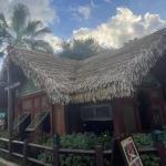 Künstliche Strohrolle Tiki-Bar-Dach, Synthetisches Strohdach Strand-Hawaii-Party, DIY-Strohrolle Gartenzaun Für Tiki-Bar, Hütte, Terrasse(0.5x1m)