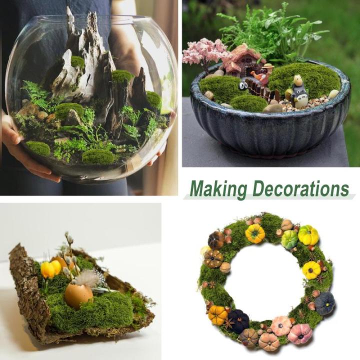 150 g kunstmos om te decoreren, kunstmos om te knutselen, kunstmos, decoratieve kunstmos, kunstmos, kunstmos, kunstmos, kunstmos, kunstmos, kunstmos, kunstmos, knutselmos voor muur
