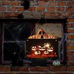 Kürbisschild Outdoor-Wandkunst | Kürbisschild Rustikale Wohndekoration | Rustikale Heimdekoration mit Seil, bedruckte Halloween-Veranda-Dekorationen (Ghost Pumpkin Wsgp 01c)