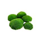 Hello Moss Geconserveerde mosballen, 5 stuks, mosdecoratie voor jou, geconserveerd bolmos voor je huis, maak een mosafbeelding, geschikt als mos voor terraria en bossen in glas