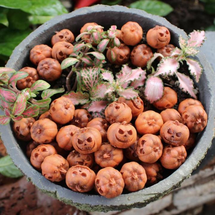 Halloween Deko Kürbis, 40PCS Halloween Mini Künstliche Kürbisse Dekoration Herbstdeko, Halloween Puppenhaus Miniaturen Halloween Harz Kürbisse Skulptur für Halloween Party Dek