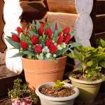 Künstliche Blumen 21 Stück Unechte Tulpe Gefälschte Blume Blumenstrauß Tulpen Real Touch für Home Party Hochzeitsstrauß Garten Dekoration 1803