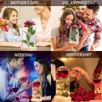 Die Beautiful and the Best Rose, eeuwige roos in transparante koepel, rozencadeau voor Moederdag, jubileum, verjaardag, Valentijnsdag, kamerdecoratie